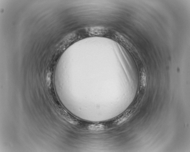 X0000059040271200511041644