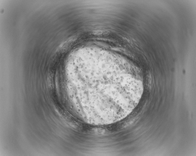 X0000059040272200511041644