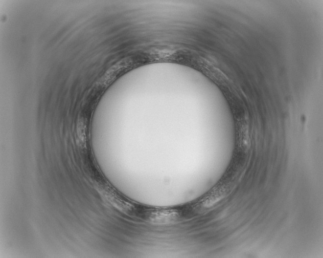 X0000059040274200511041644