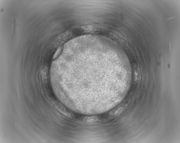 X0000059040275200511041644