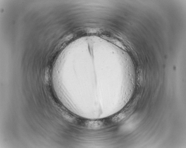 X0000059040277200511041644