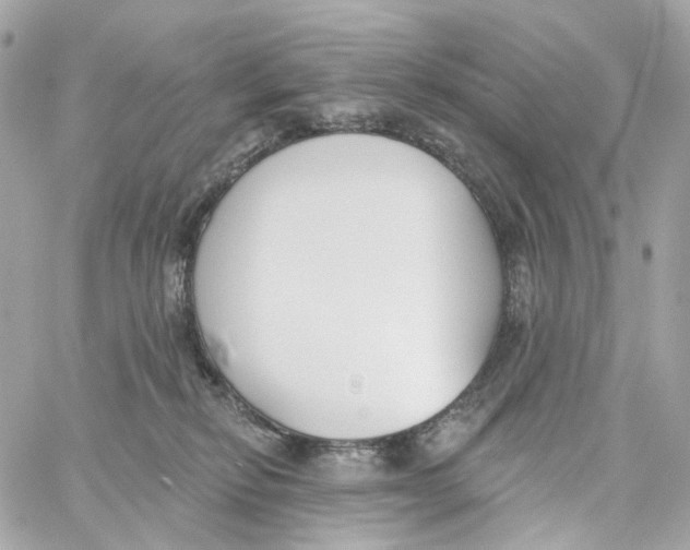 X0000059040278200511041644