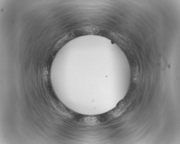 X0000059040279200511041644