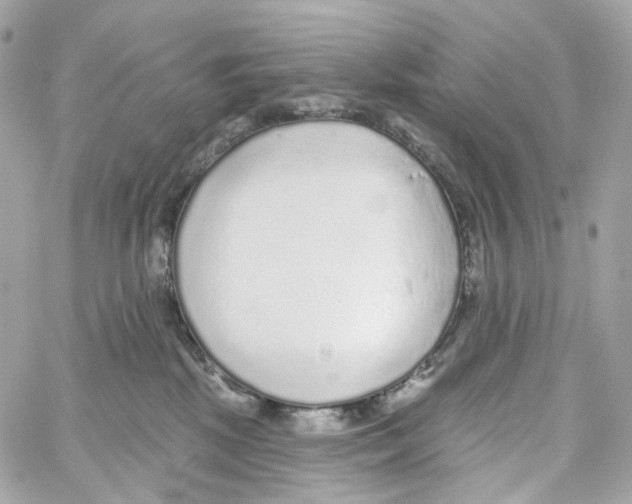 X0000059040281200511041644