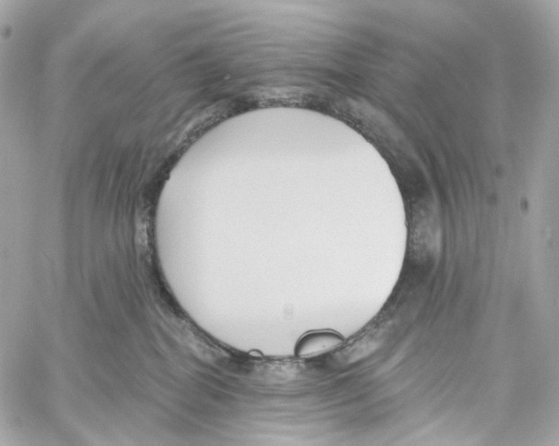 X0000059040282200511041644