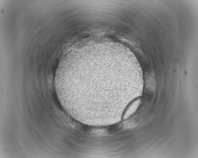 X0000059040283200511041644