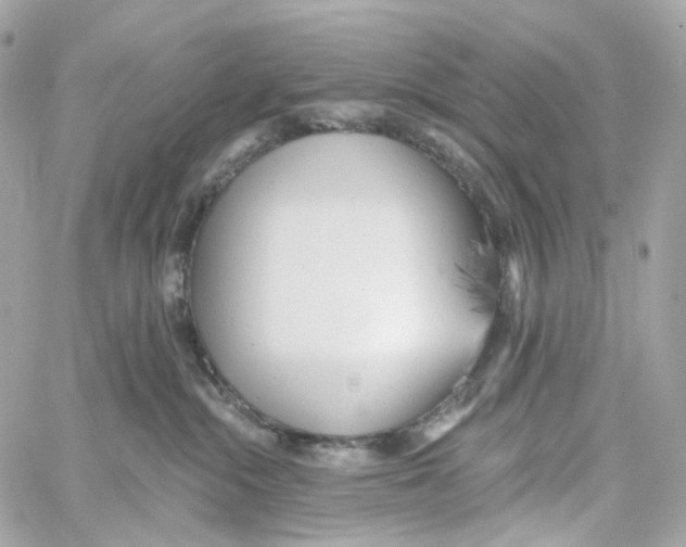 X0000059040284200511041644