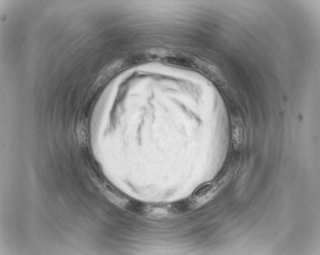 X0000059040285200511041644