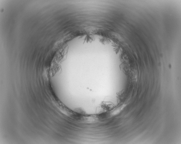 X0000059040286200511041644