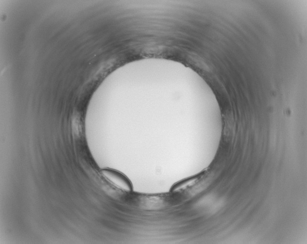 X0000059040287200511041644