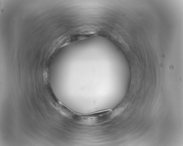 X0000059040288200511041644