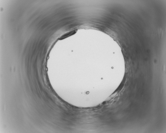 X0000059040289200511041644