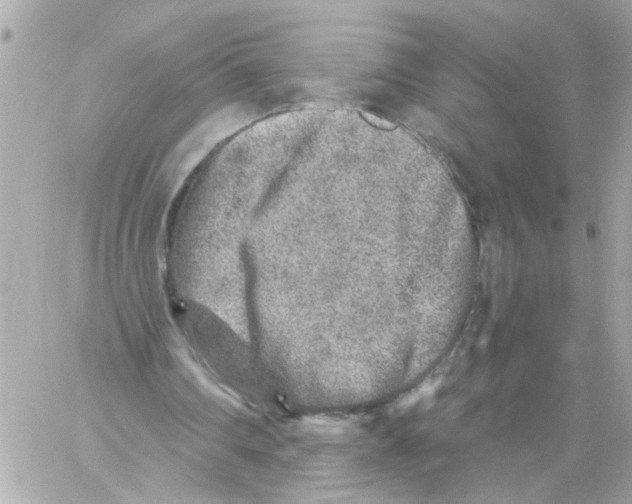 X0000059040290200511041644