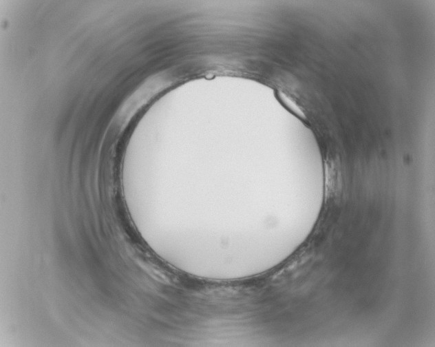 X0000059040291200511041644