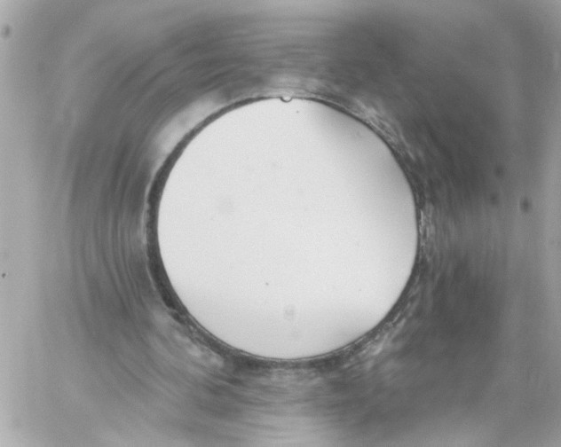 X0000059040292200511041644