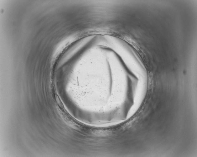 X0000059040293200511041644