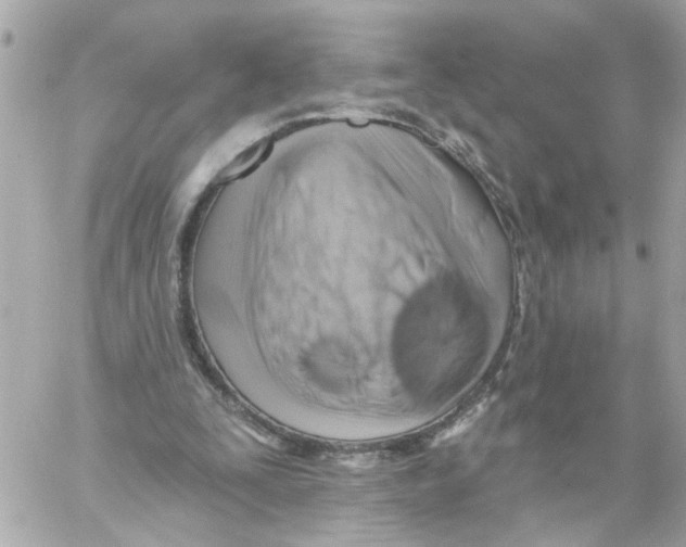 X0000059040295200511041644