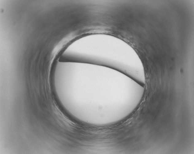 X0000059040296200511041644