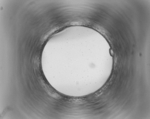 X0000059040297200511041643