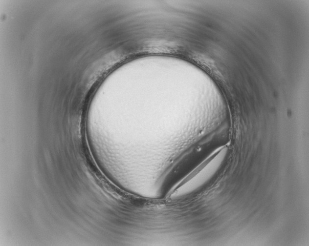 X0000059040299200511041643