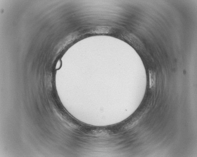 X0000059040300200511041643