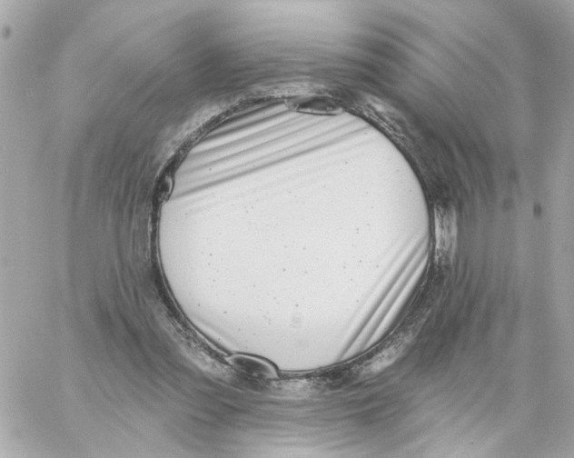 X0000059040301200511041643