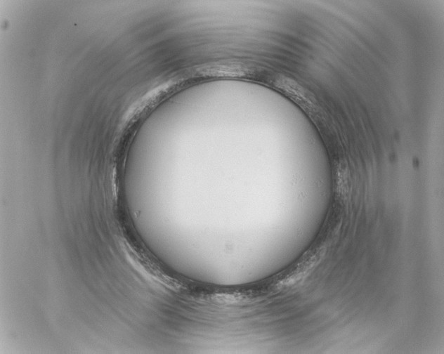 X0000059040302200511041643