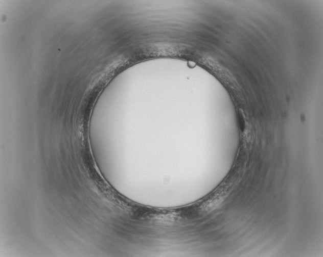 X0000059040306200511041643