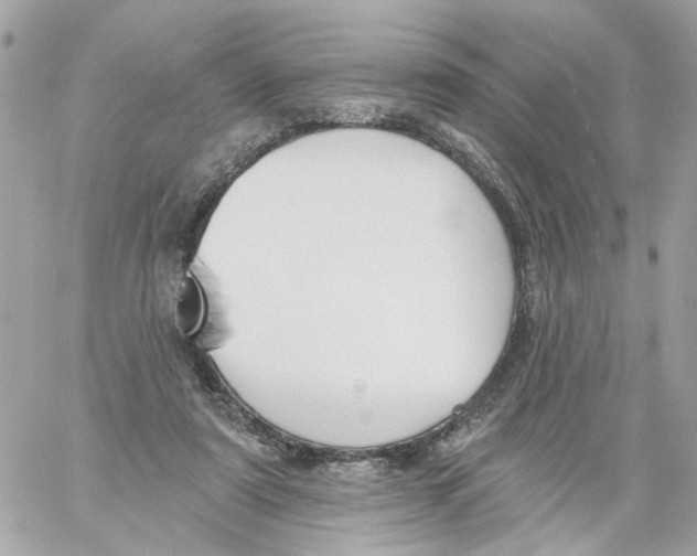 X0000059040307200511041643