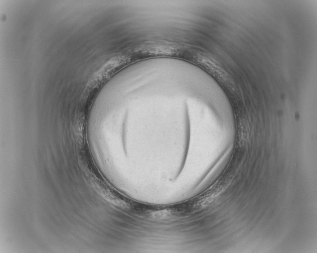 X0000059040309200511041643