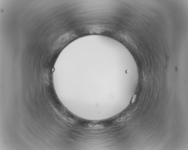 X0000059040311200511041643