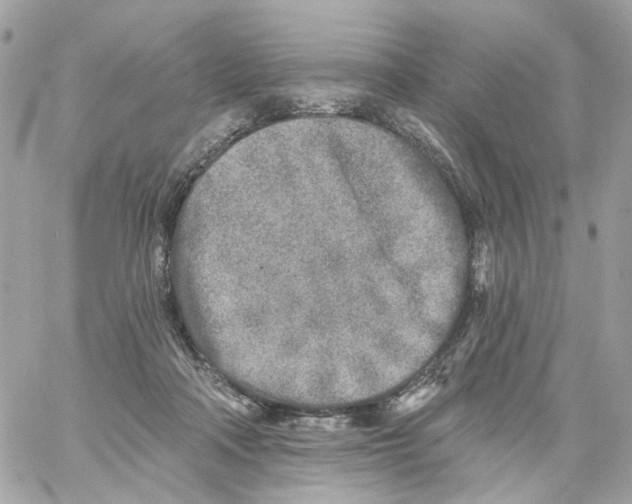 X0000059040314200511041643