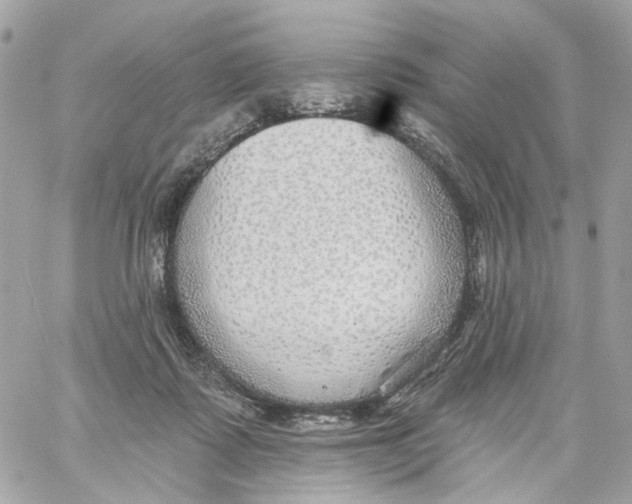 X0000059040315200511041643