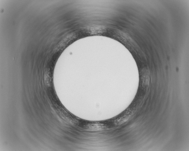 X0000059040316200511041643