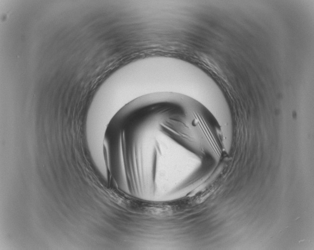 X0000059040317200511041643