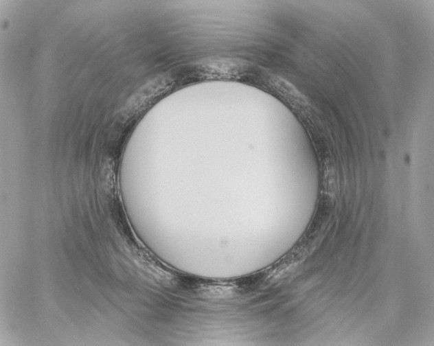 X0000059040318200511041643