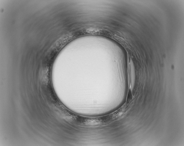 X0000059040319200511041643