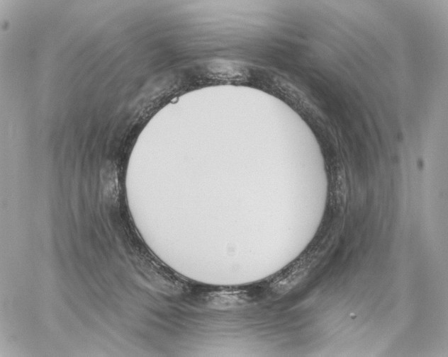 X0000059040320200511041643