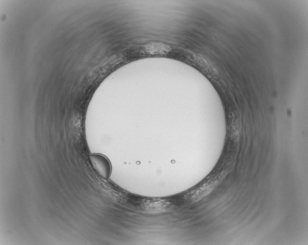 X0000059040321200511041643