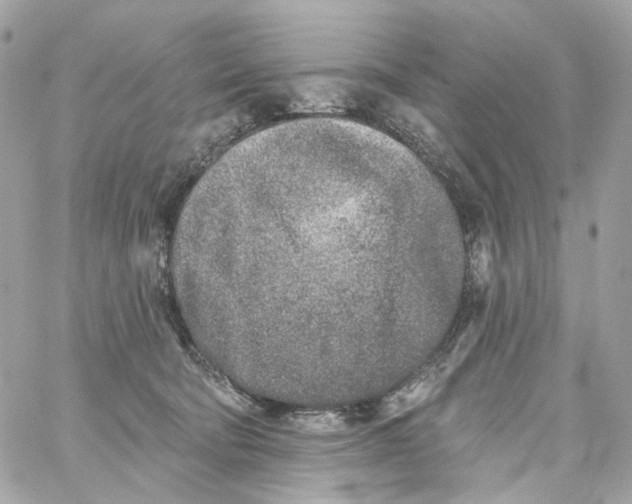 X0000059040322200511041643