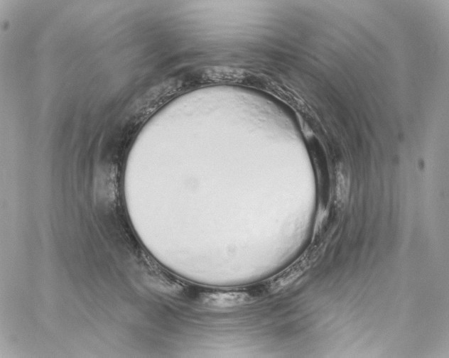 X0000059040323200511041643