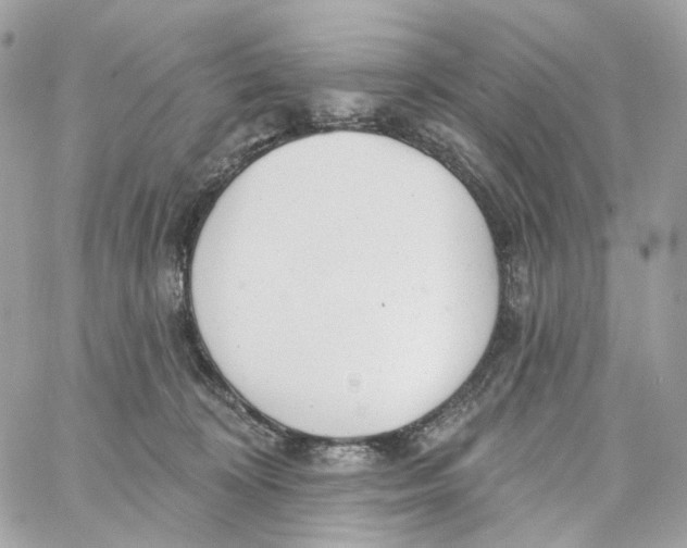 X0000059040324200511041643