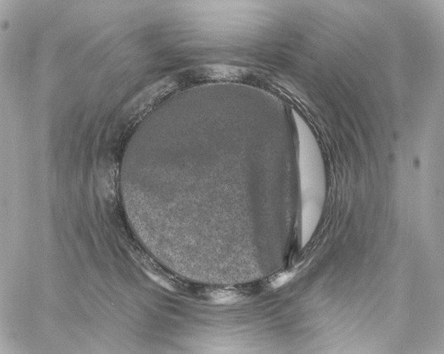 X0000059040325200511041643