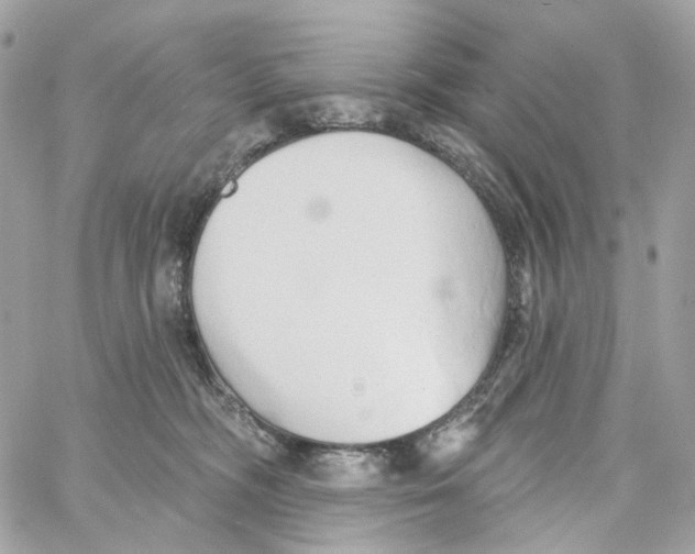 X0000059040326200511041643