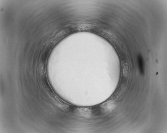 X0000059040327200511041643