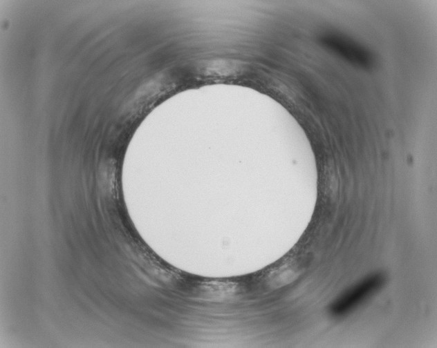 X0000059040328200511041643