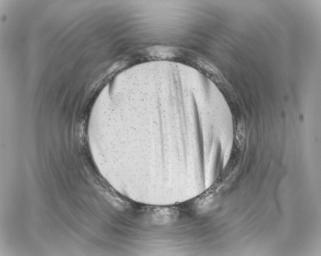 X0000059040330200511041643