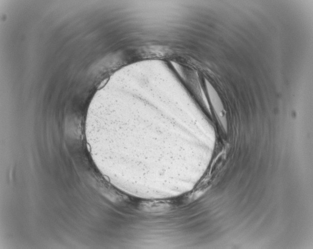 X0000059040331200511041643