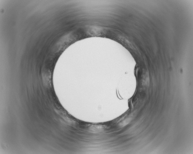 X0000059040332200511041643