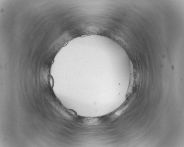 X0000059040334200511041643